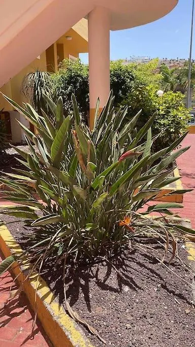 Costa Adeje, 2 Bedrooms Apartment Spain